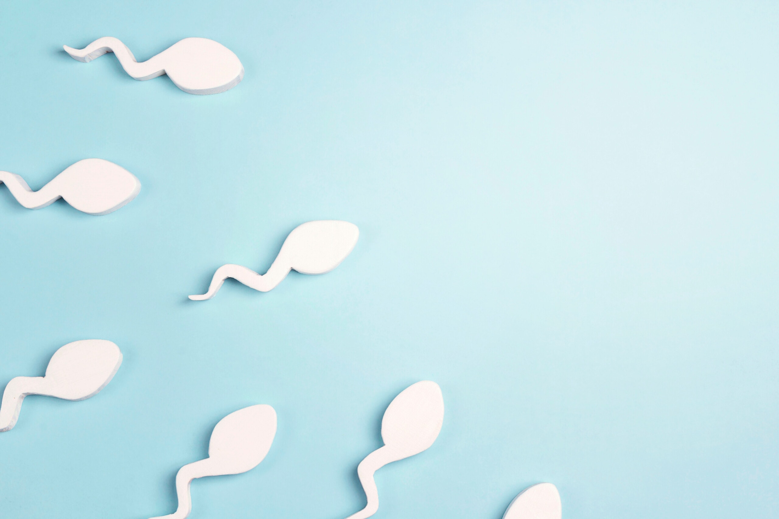 OATS male infertility affecting sperm quality